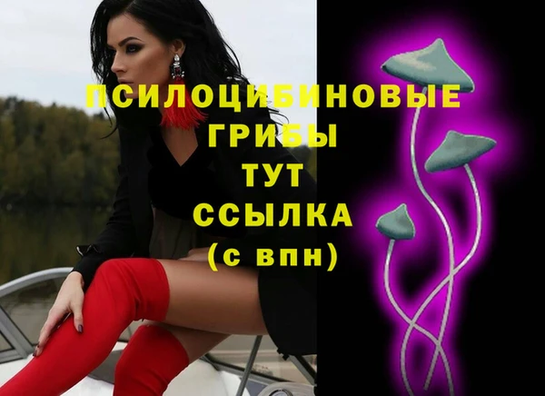 винт Абинск