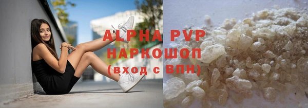 хмурый Абаза