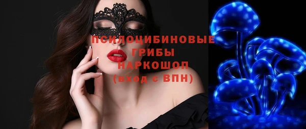 хмурый Абаза
