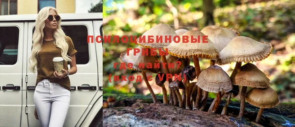 винт Абинск