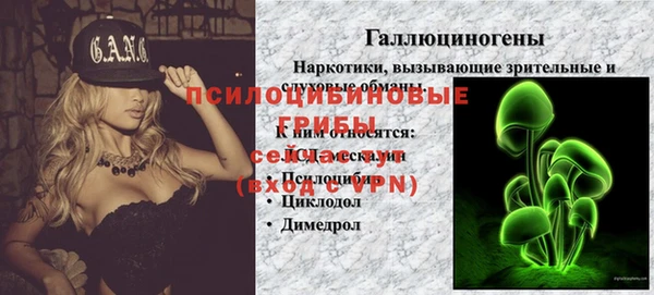 сатива Абдулино