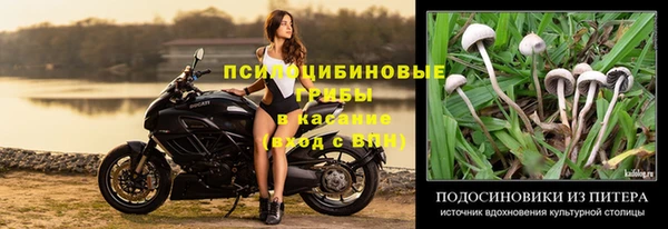 винт Абинск
