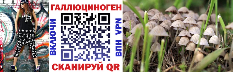 Галлюциногенные грибы MAGIC MUSHROOMS  shop клад  Алатырь 