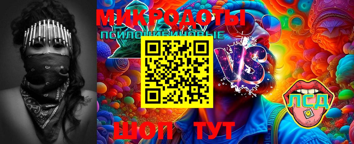 Галлюциногенные грибы MAGIC MUSHROOMS Алатырь